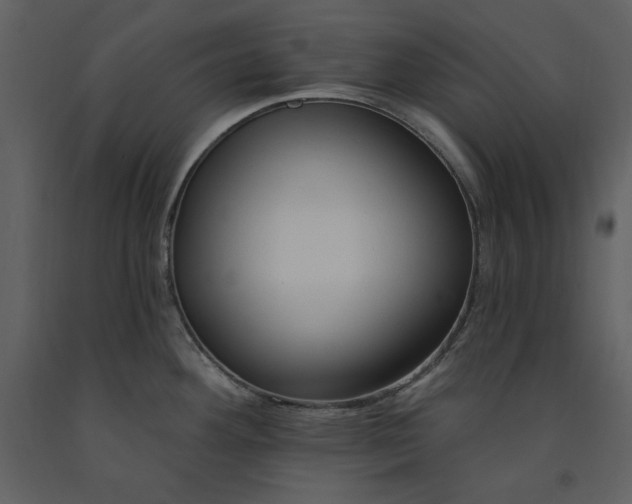 X0000090971292200708241307