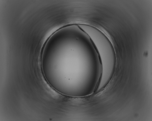 X0000090971293200708241307