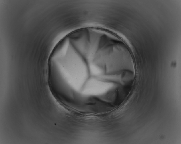 X0000090971295200708241307