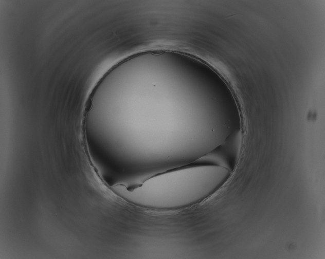 X0000090971296200708241307