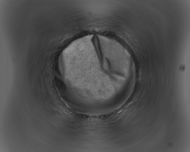 X0000090971297200708241306