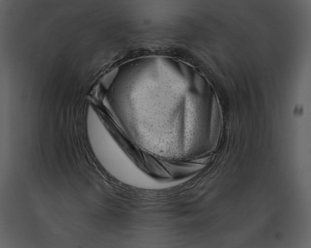 X0000090971298200708241306