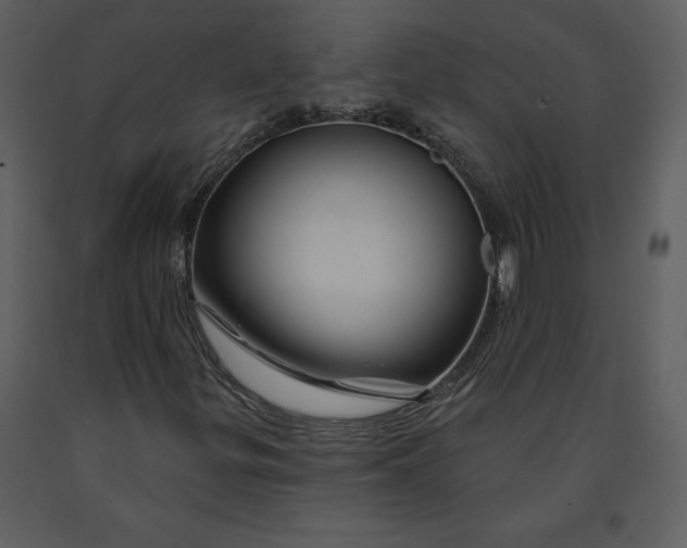 X0000090971299200708241306