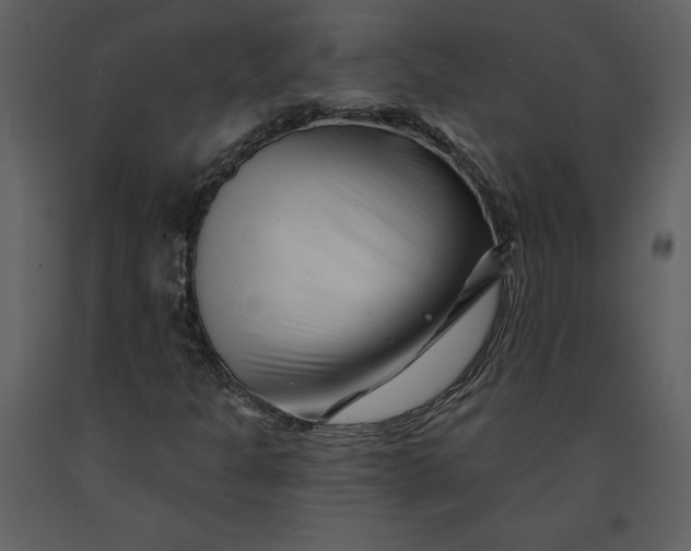 X0000090971301200708241306