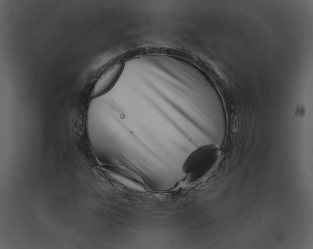 X0000090971303200708241306