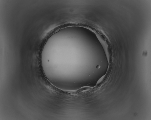 X0000090971304200708241306