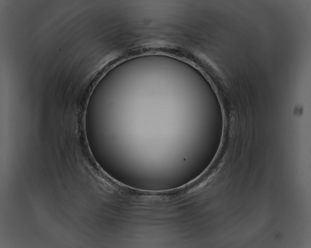 X0000090971305200708241306