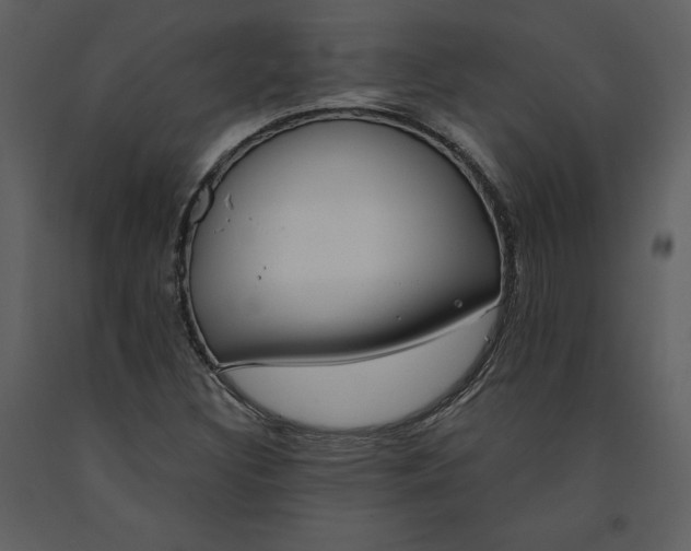 X0000090971308200708241306