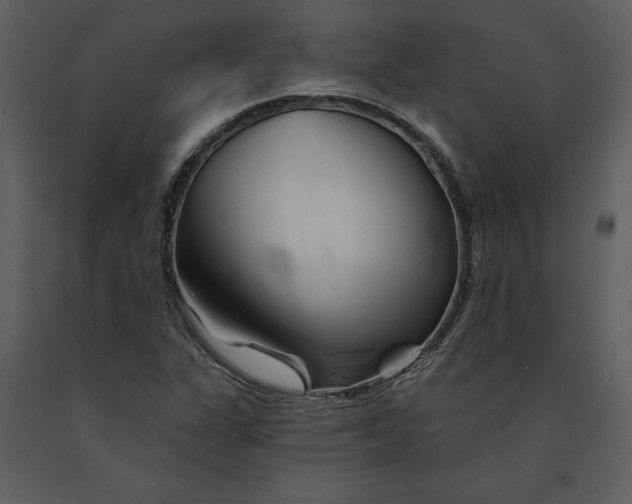 X0000090971311200708241306