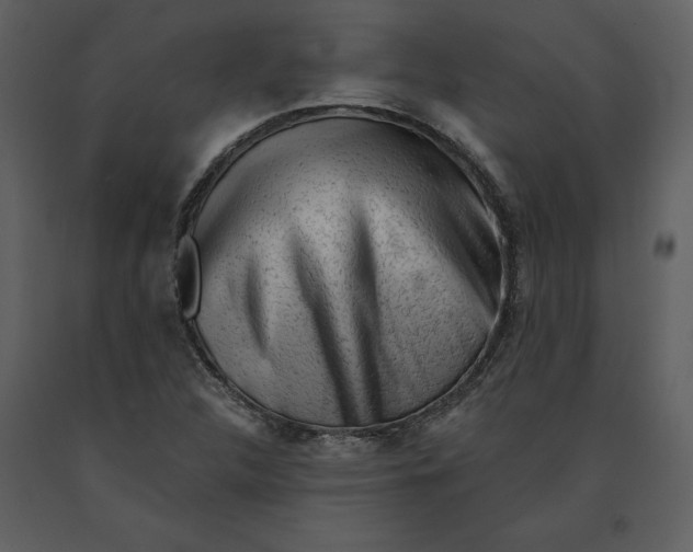 X0000090971312200708241306