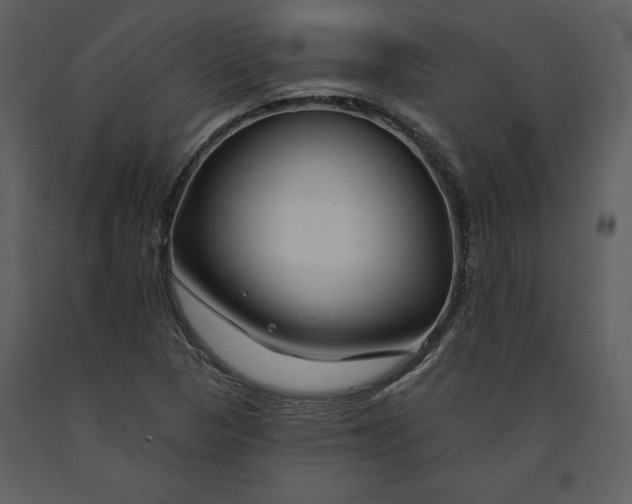 X0000090971313200708241306