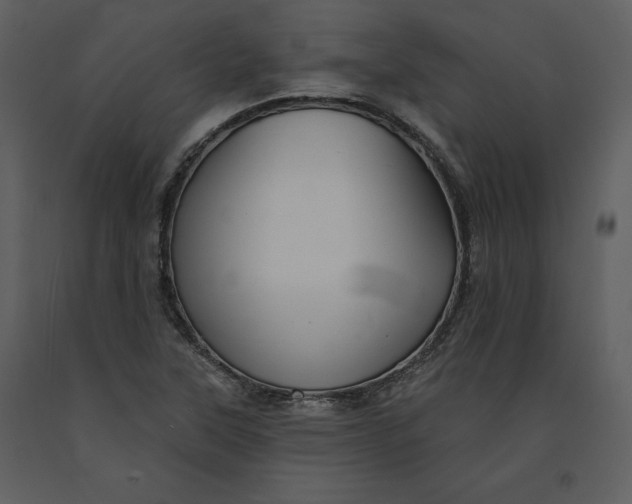 X0000090971315200708241306