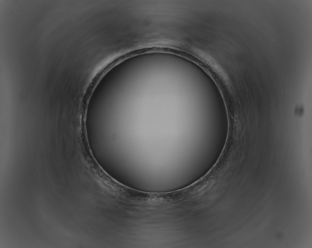 X0000090971316200708241306