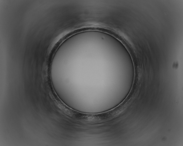 X0000090971318200708241306