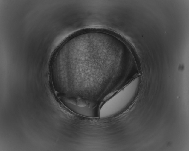 X0000090971319200708241306