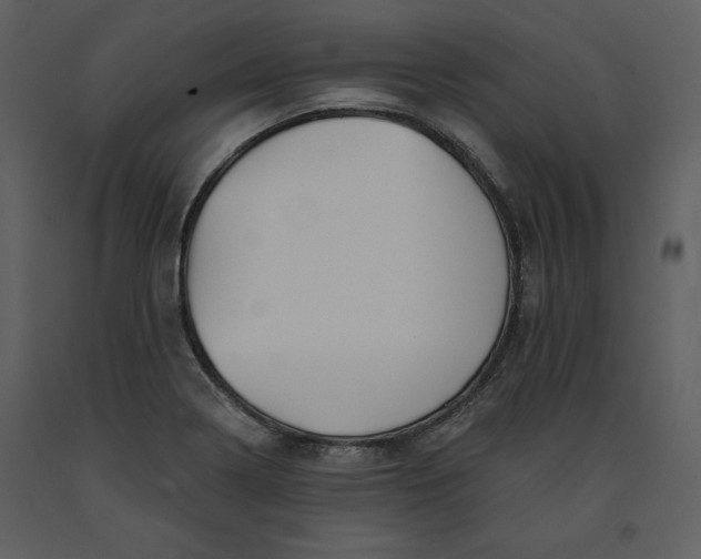 X0000090971322200708241306