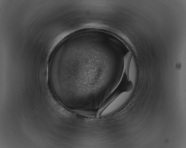 X0000090971323200708241306