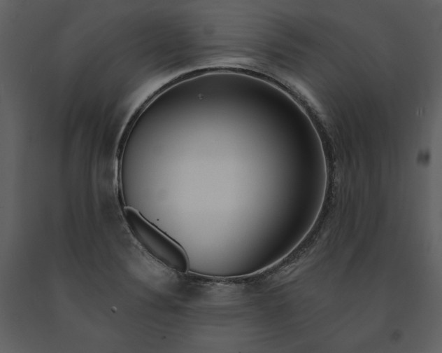 X0000090971324200708241306