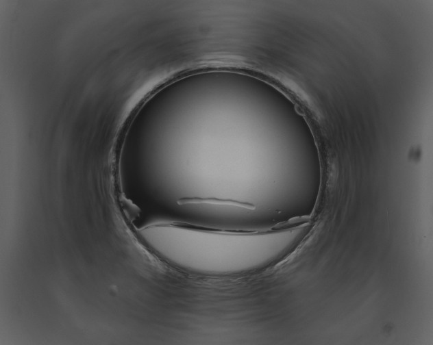 X0000090971325200708241306