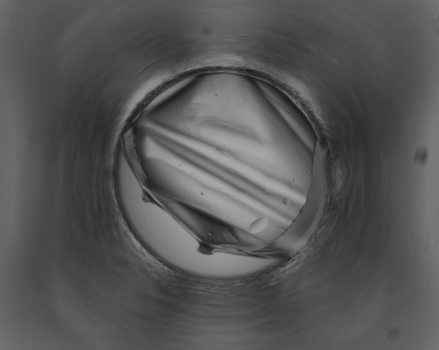 X0000090971326200708241306