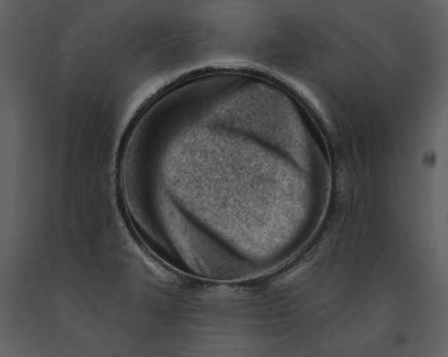 X0000090971327200708241306