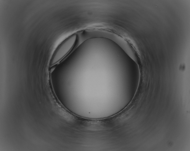 X0000090971328200708241306