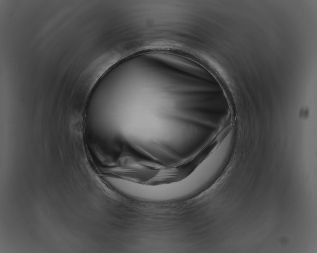 X0000090971329200708241306