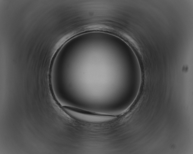 X0000090971330200708241306