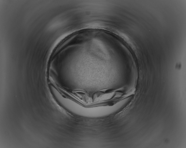 X0000090971331200708241306