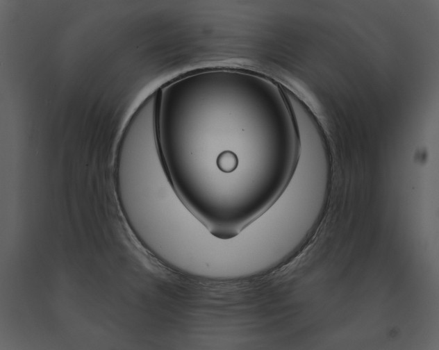 X0000090971332200708241306