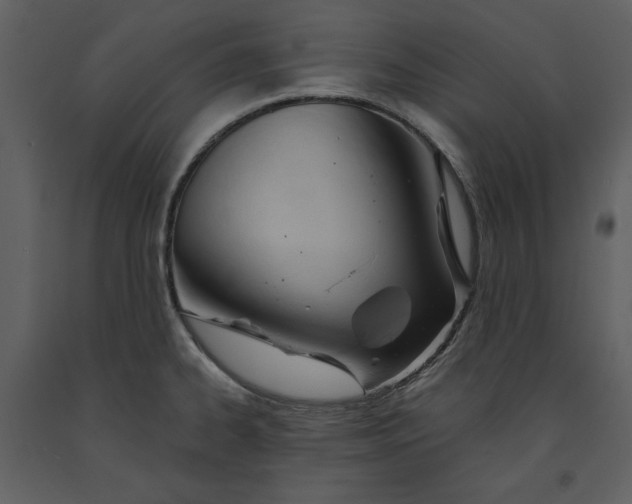 X0000090971334200708241306