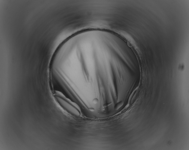 X0000090971335200708241306