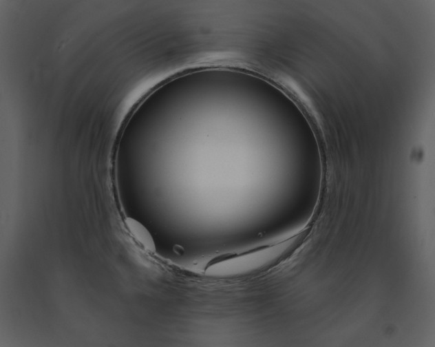 X0000090971336200708241306