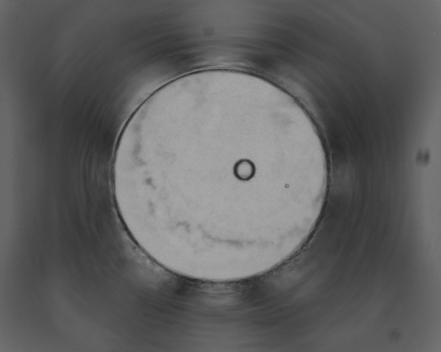 X0000090971338200708241306