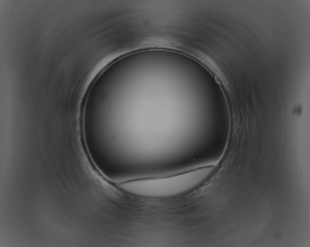 X0000090971339200708241306