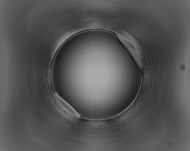 X0000090971340200708241307