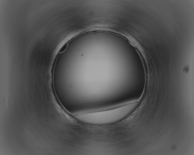 X0000090971341200708241307