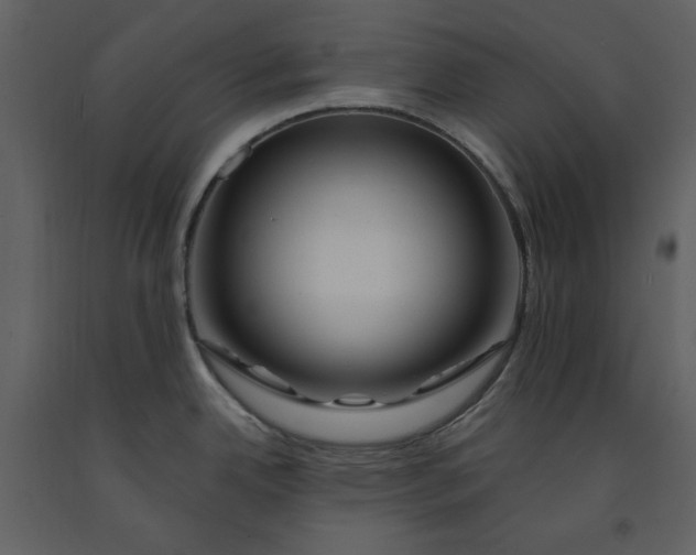 X0000090971342200708241307