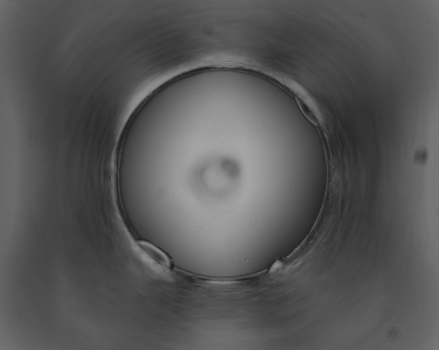 X0000090971343200708241307