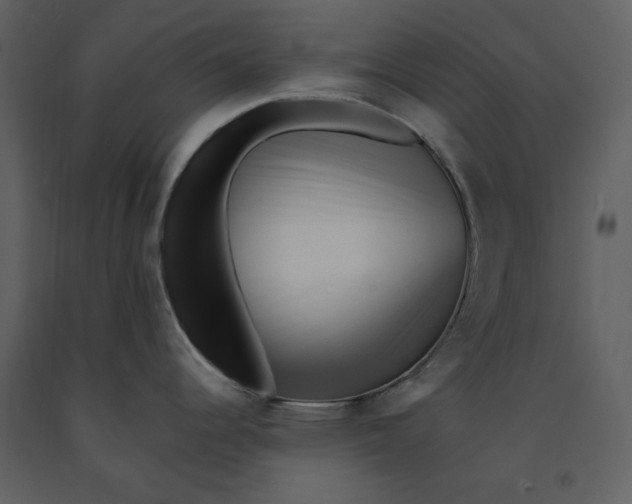 X0000090971344200708241307