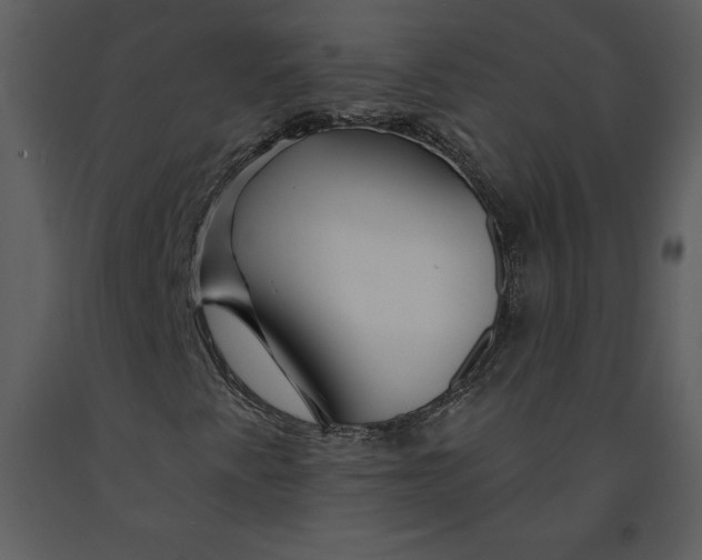 X0000090971345200708241306