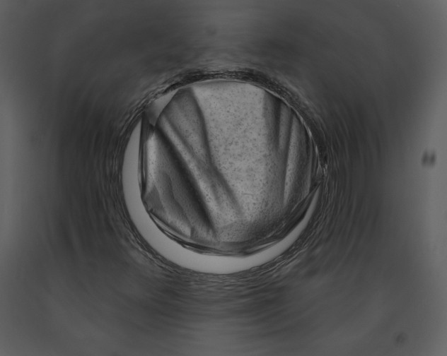 X0000090971348200708241306