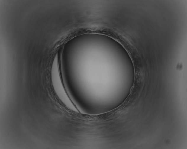 X0000090971349200708241306