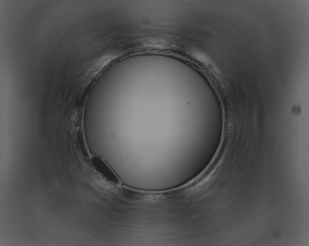 X0000090971353200708241306