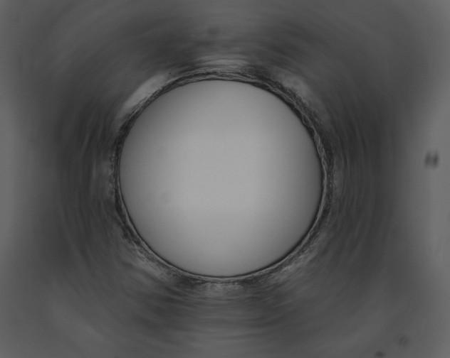 X0000090971354200708241306