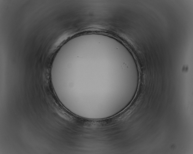 X0000090971355200708241306