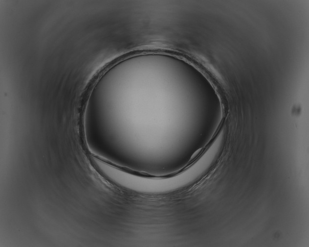 X0000090971356200708241306