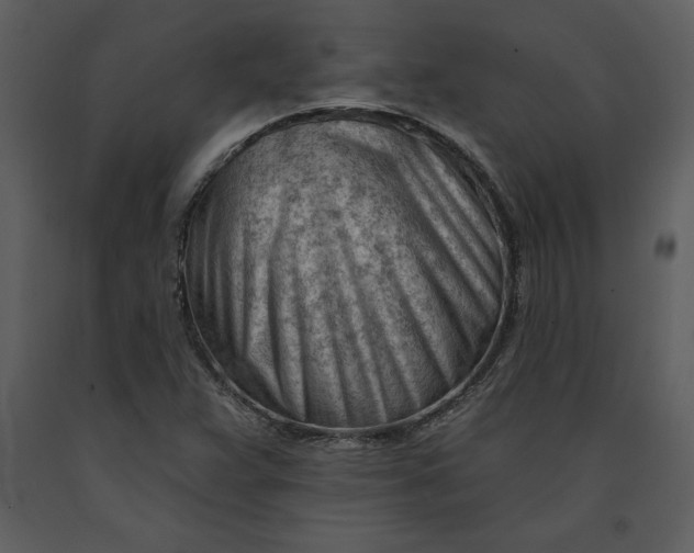 X0000090971359200708241306