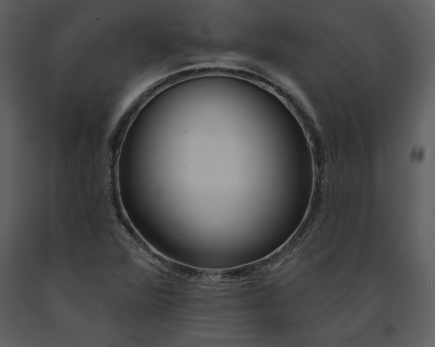 X0000090971360200708241306