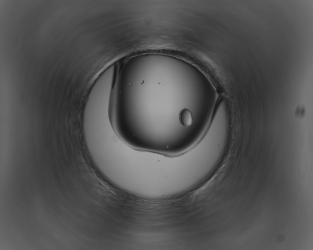 X0000090971361200708241306